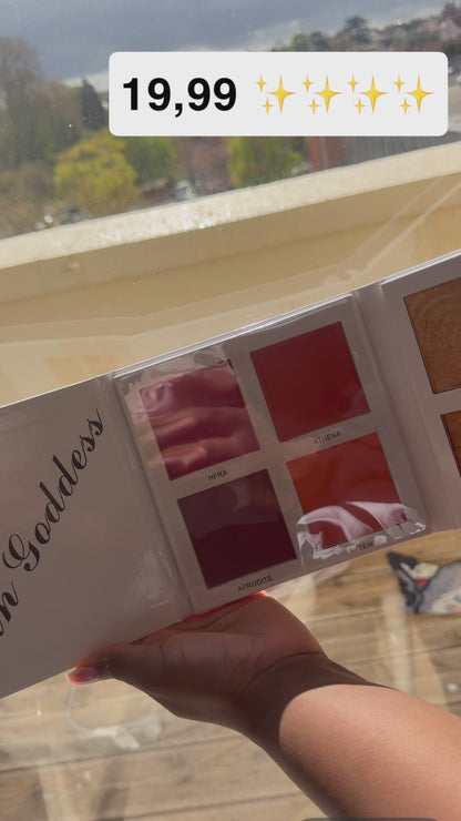 palette blush , Highlighter